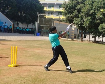 cricket